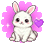 Bunny energy