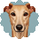 Galgo