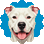 Pitbull