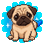 Pug vibes