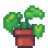 Satan's Ivy