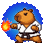 Capibara Kunfu