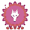 Cocotero V