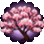 Cerezo en Flor