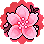 Flor de Cerezo