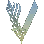 Clan VXKXNG