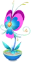Orchis Coloris