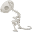Deinonicus