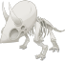 Triceratops