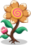 Flor de Galleta