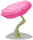 Rosa rosa