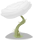 Rosa blanca