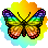 Mariposa Arcoiris